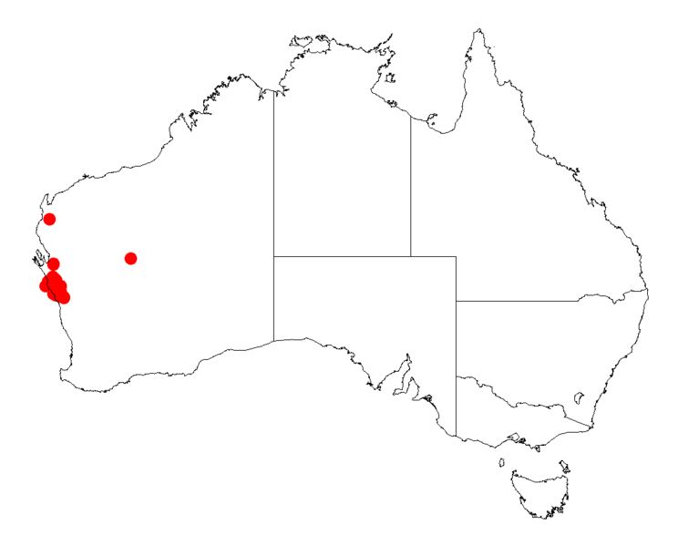 File:Acacia oldfieldiiDistMap648.png