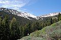 Along the trail to Baker Lake