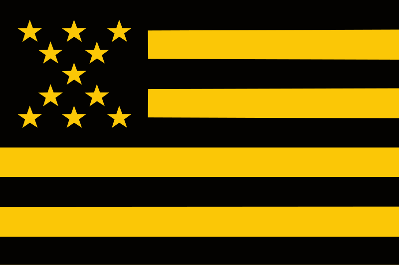 File:Bandera-club-atletico-penarol.svg