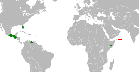 File:Chapmannia distribution.svg