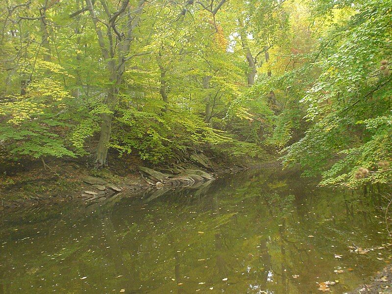 File:Chester Creek Upland.JPG