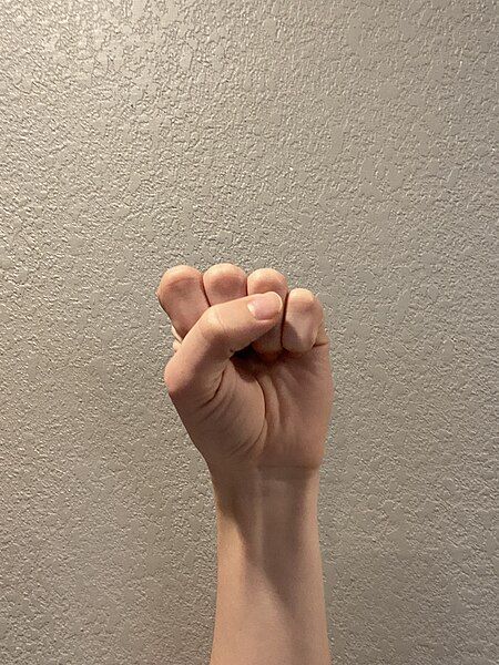 File:Closed fist.jpg