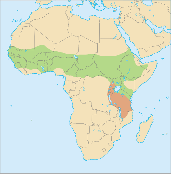 File:Distribution G. senegalensis.svg