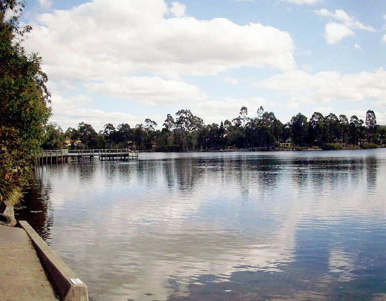 File:Forestlakequeensland.jpg