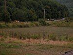 Runners near Mist