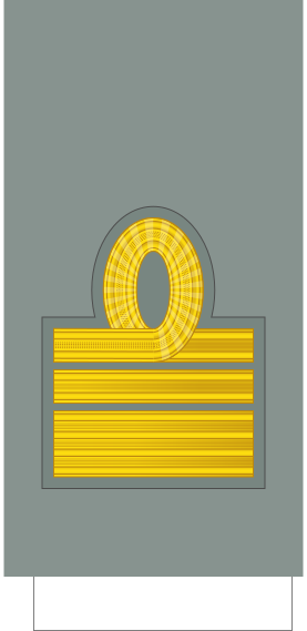 File:Italy-Army-WW2-OF-4.svg