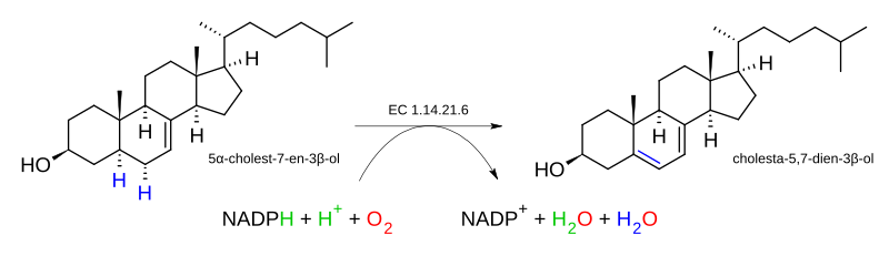 File:Lathosterol oxidase.svg