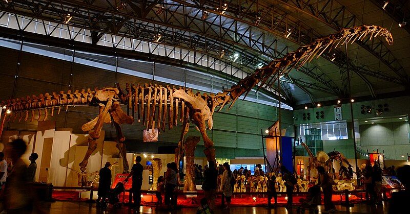 File:Ruyangosaurus skeleton.jpg