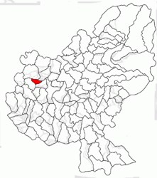 Location in Mureș County