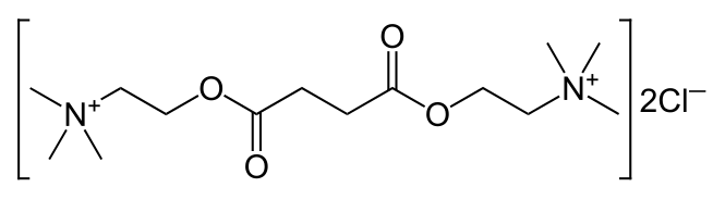 File:Suxamethonium-chloride-2D-skeletal.svg