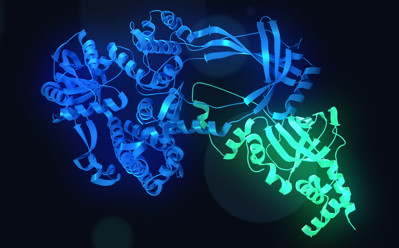 File:Topoisomerase 3A.png