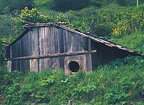 Yurok plank house.