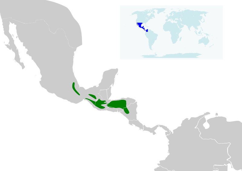 File:Abeillia abeillei map.svg