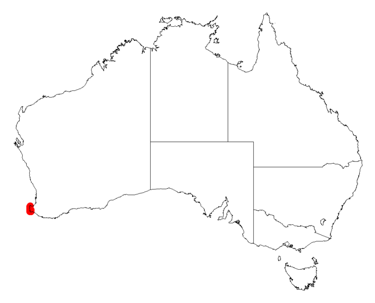 File:Acacia subracemosaDistMap869.png