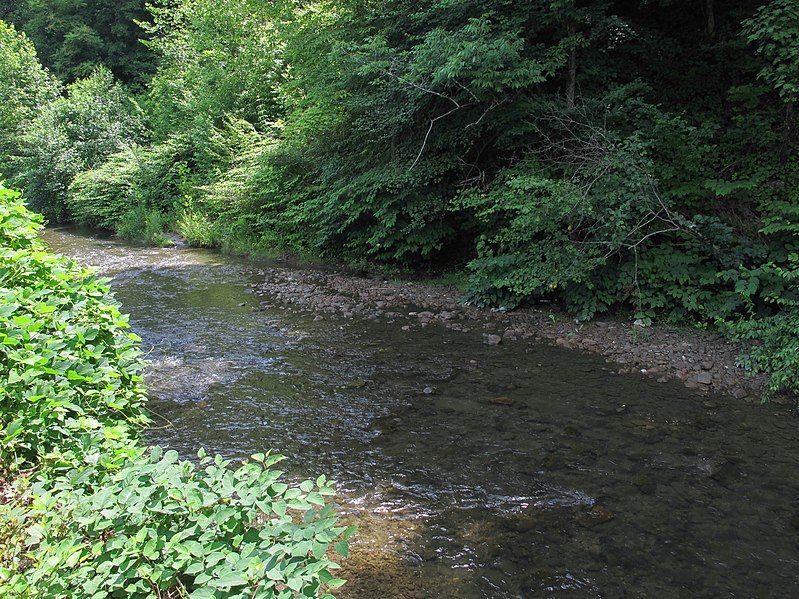 File:Armstrong Creek WV.jpg