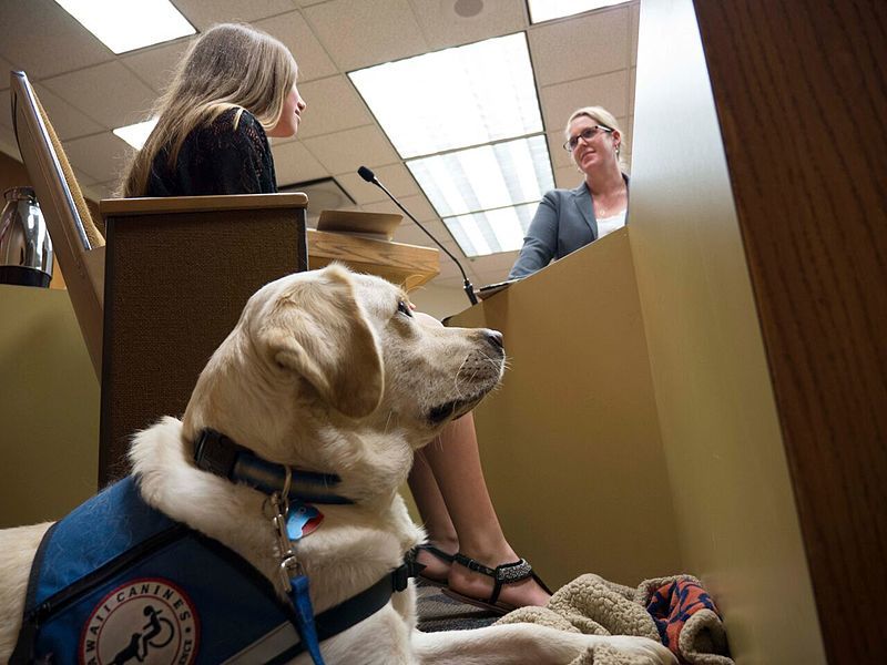 File:AstroCourthouseFacilityDog.jpg