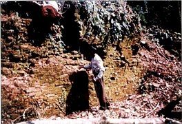 A section of the brick wall leading to the eastern gateway.