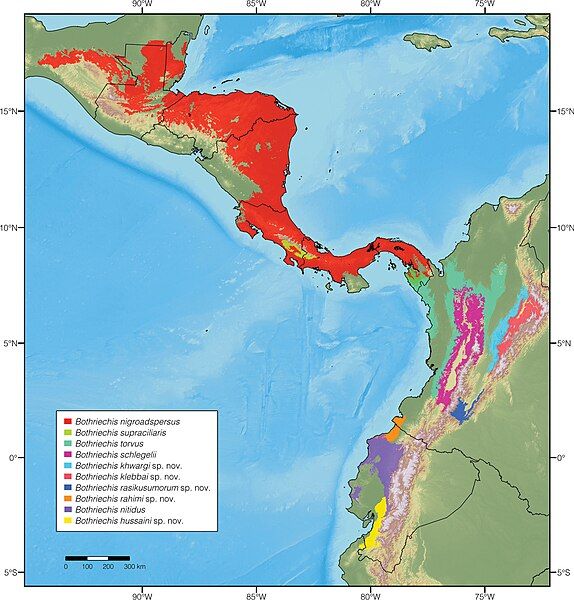 File:Bothriechis distribution.jpg