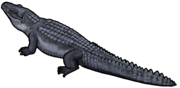 Dongnanosuchus hsui