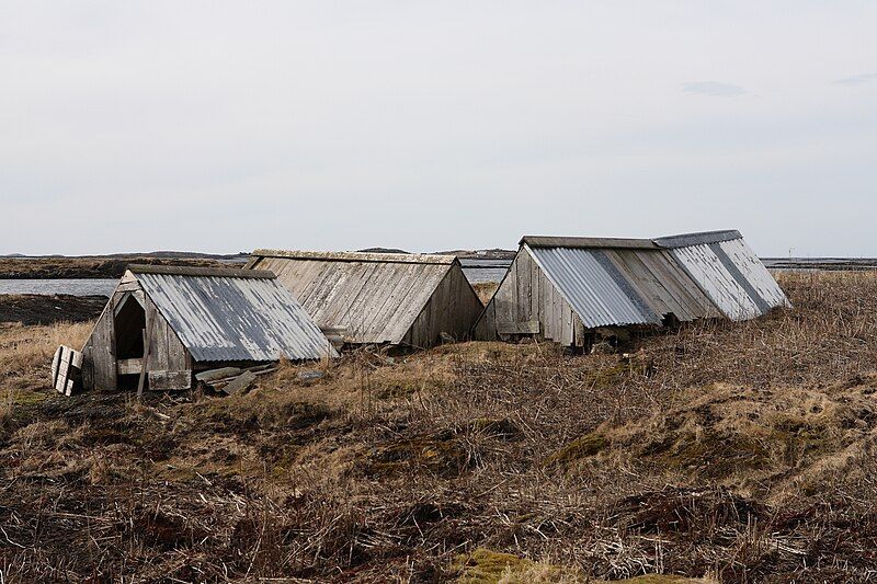 File:Eider nestingboxes.JPG