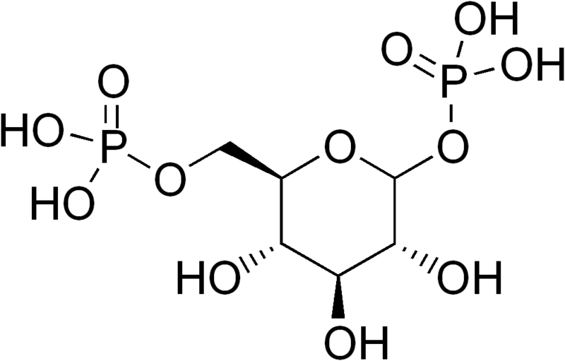 File:Glucose-1,6-bisphosphate.png