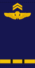 File:Mali-AirForce-OF-(D).svg