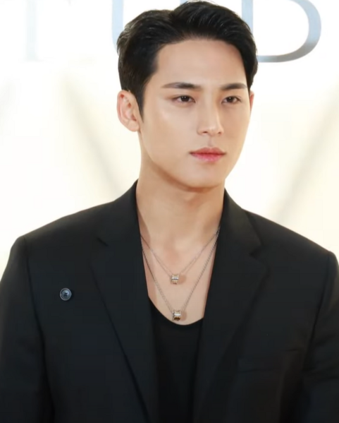 File:Mingyu Bvlgari 240314.png