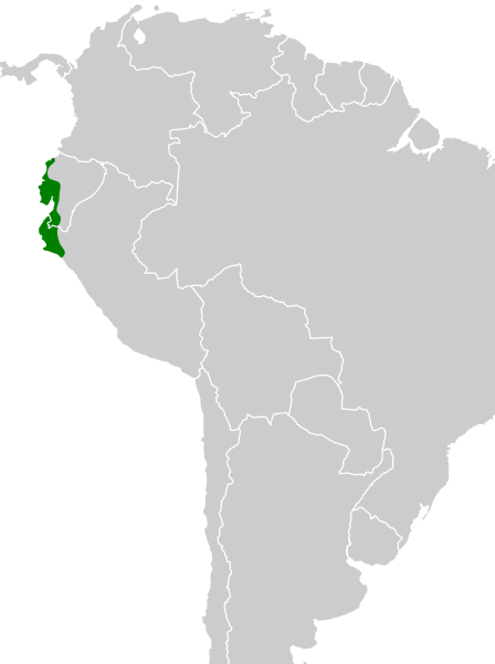 File:Myiopagis subplacens map.svg