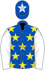 ROYAL BLUE, yellow stars, white sleeves, royal blue cap, white star