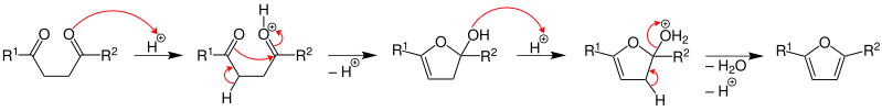 File:Paal-Knorr-Furan-Synthesis mechanism.svg