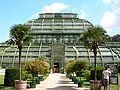 The Palm House