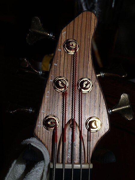 File:Pedulla Thunderbass headstock.jpg