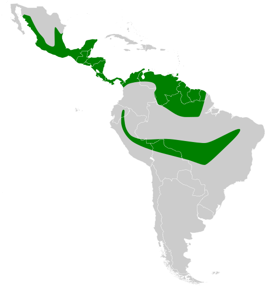 File:Pteronotus parnellii map.svg