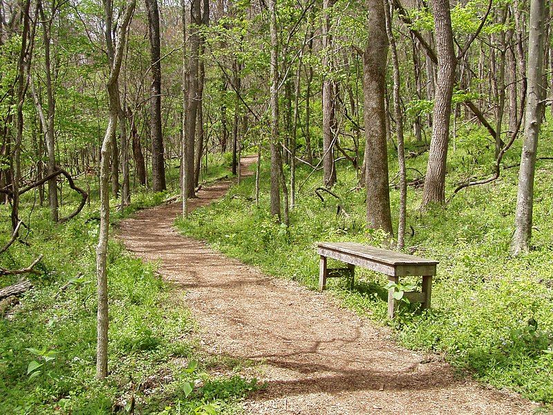 File:RadnorLakeTrailhead.jpg