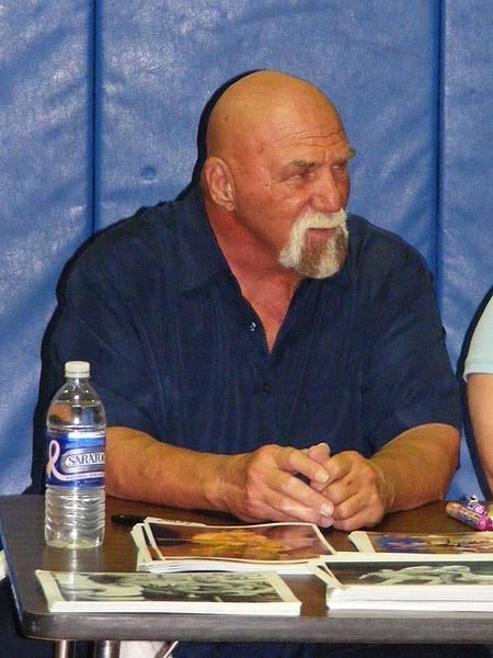 File:Superstar Billy Graham.jpg