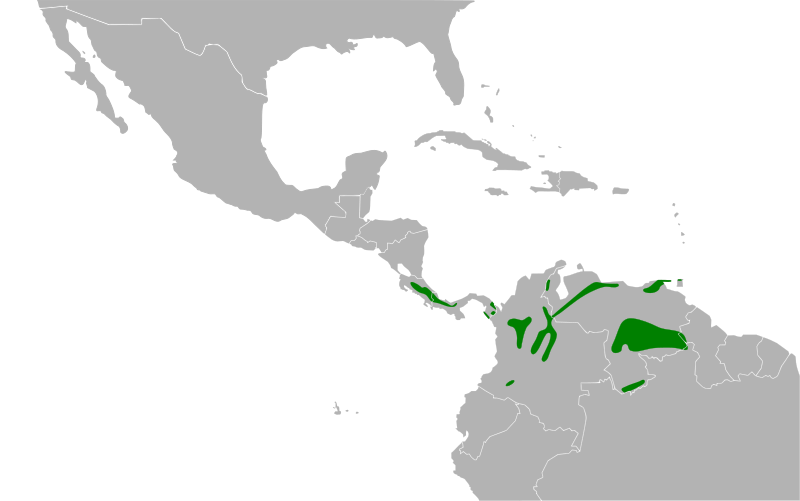 File:Tangara guttata map.svg