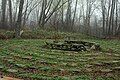 The Turtle Peace Labyrinth at the Teaneck Creek Conservancy, Ariane Burgess