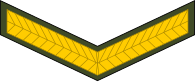 File:Zimbabwe-Army-OR-3.svg