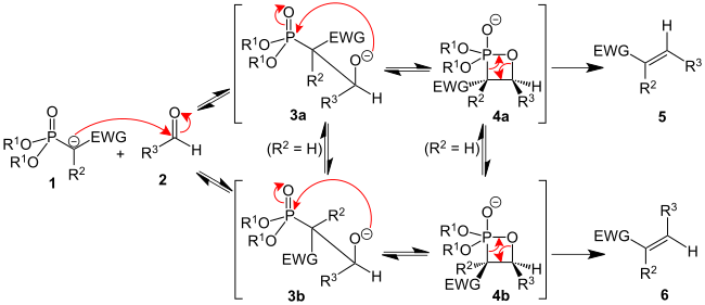 The mechanism of the Horner-Wadsworth-Emmons reaction