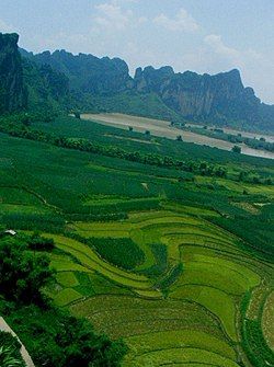 Typical scene in the county, taken in July in Shangjin Township with the Zuo River in the background