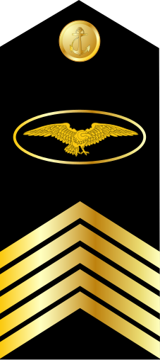 File:10.Ecuadorian Navy-FFMCPO.svg