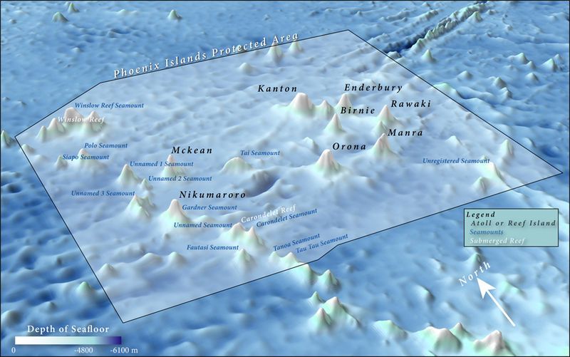 File:3dPerspective wSeamounts NoRefs.jpg