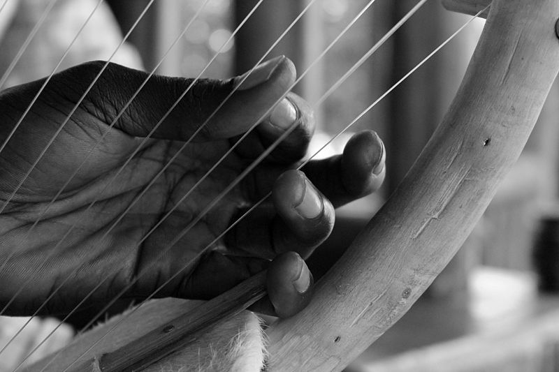 File:African arched harp(Adungu)2.jpg