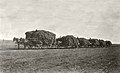 Alfalfa hay on wagons, 1915