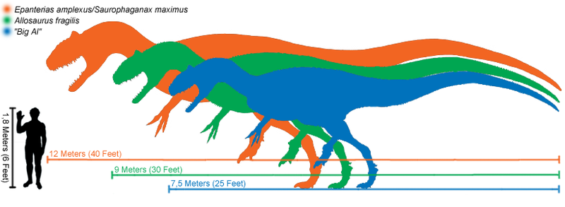 File:Alosizes(v2).png