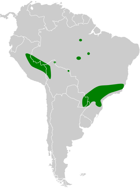 File:Antrostomus sericocaudatus map.svg