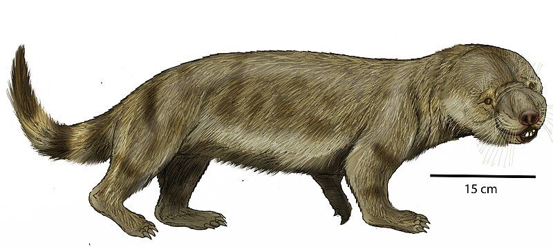 File:Bienotherium yunnanenseDB24.jpg