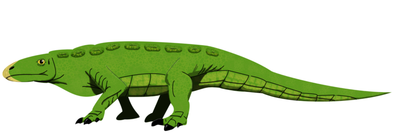 File:Crosbysaurus hypothetical.png