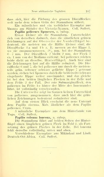 File:DeutscheEntomologischeZeitschriftIris 1904Page107.jpg