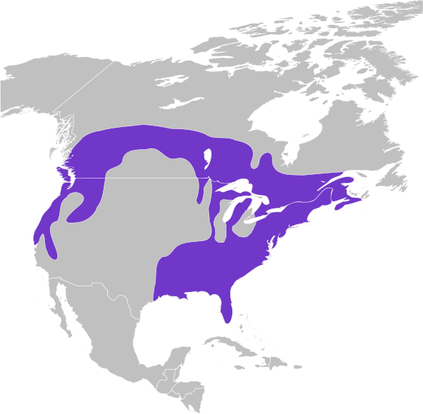 File:Dryocopus pileatus map.svg